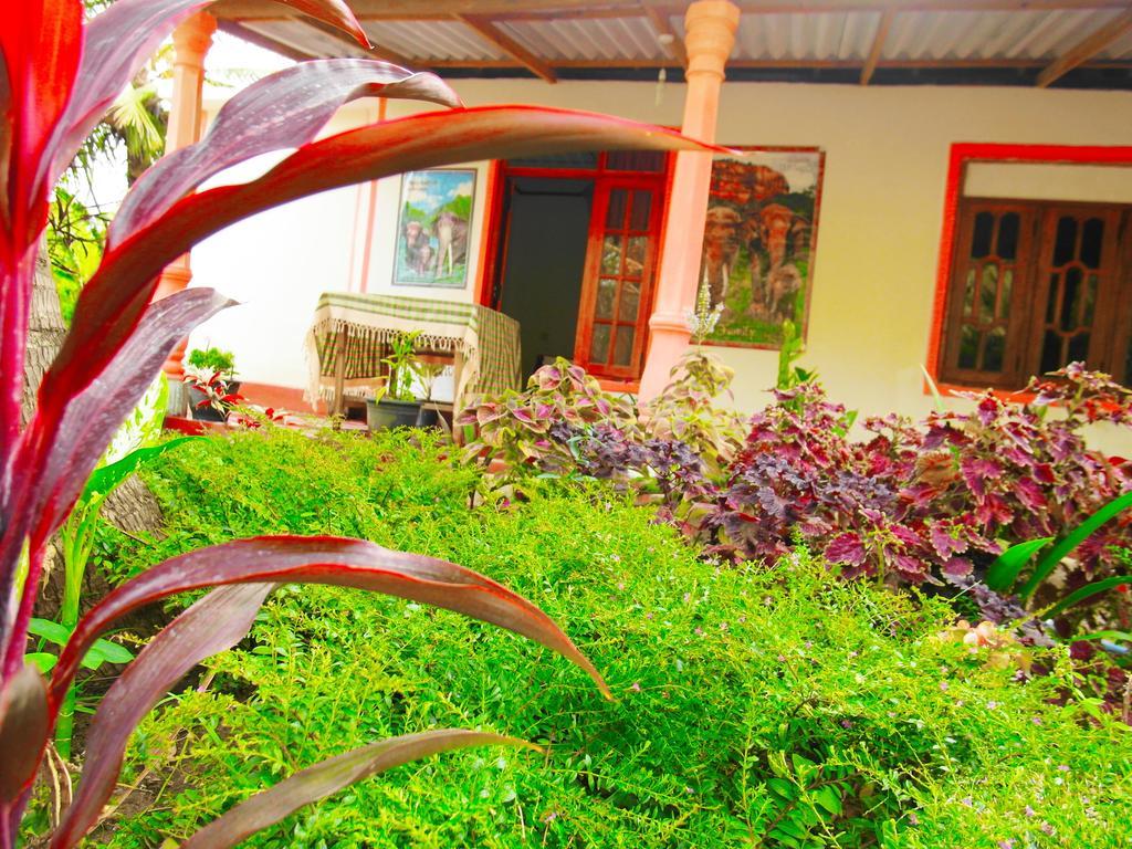 Sigiri Picaso Home Stay Sigiriya Exterior photo