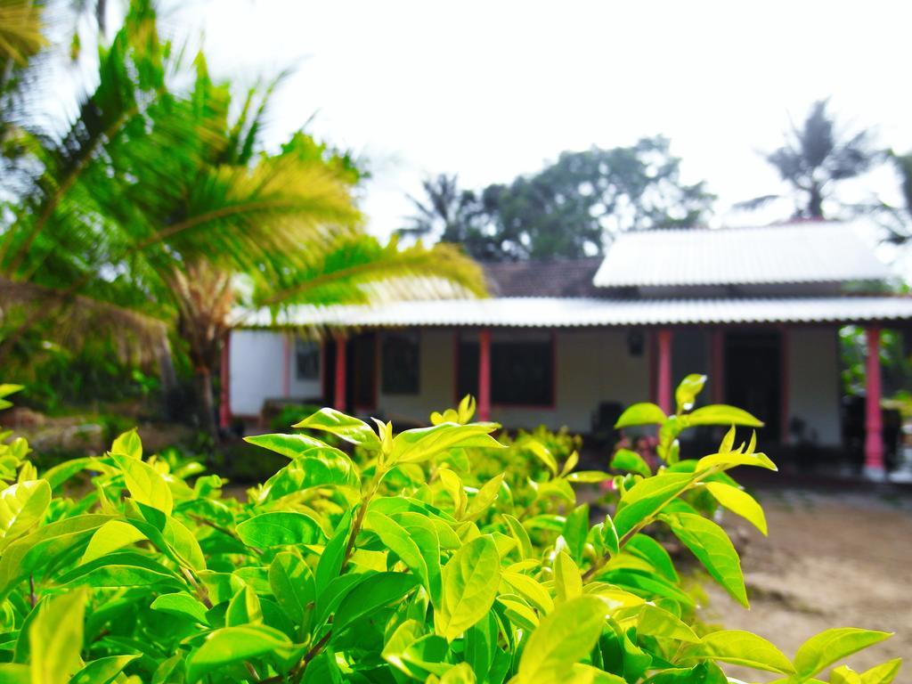 Sigiri Picaso Home Stay Sigiriya Exterior photo