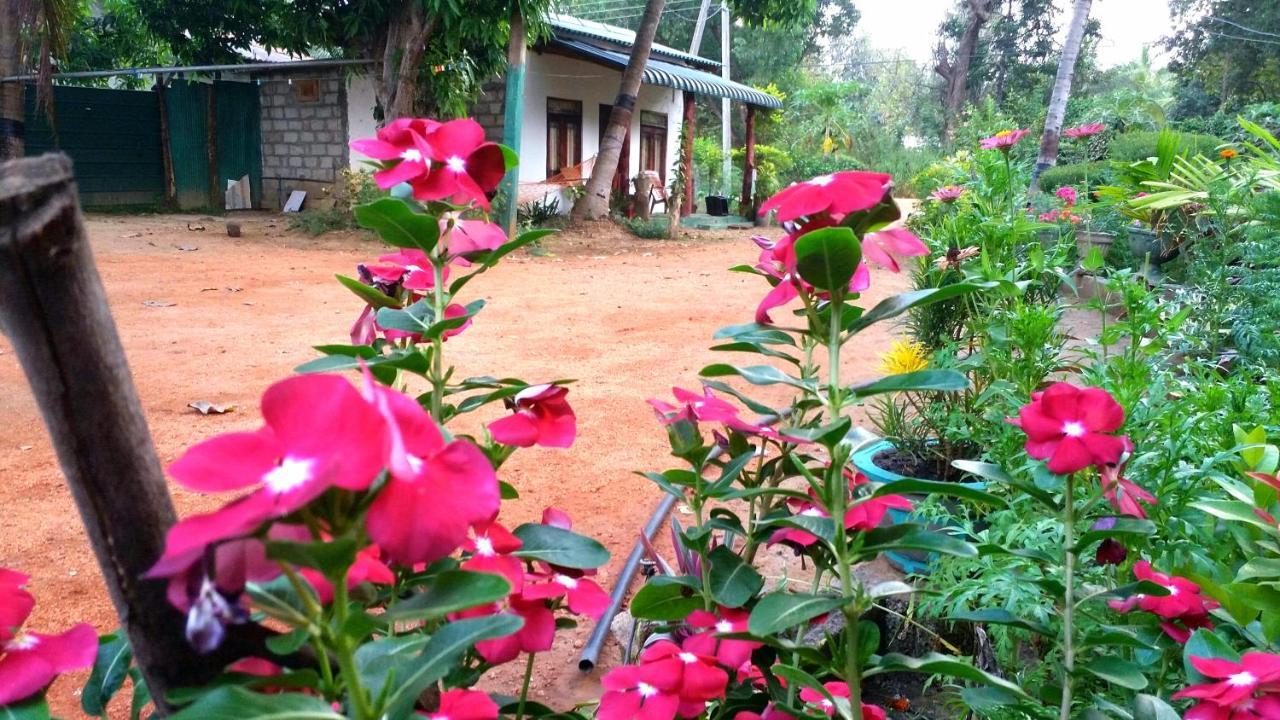 Sigiri Picaso Home Stay Sigiriya Exterior photo