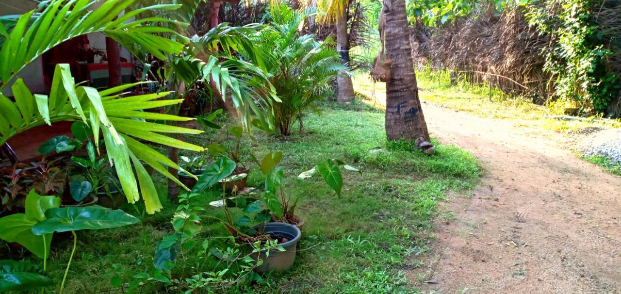 Sigiri Picaso Home Stay Sigiriya Exterior photo