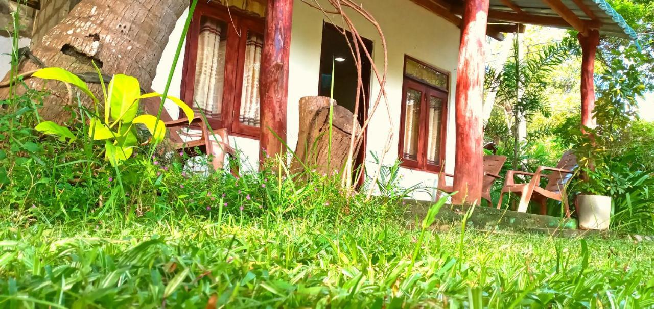 Sigiri Picaso Home Stay Sigiriya Exterior photo